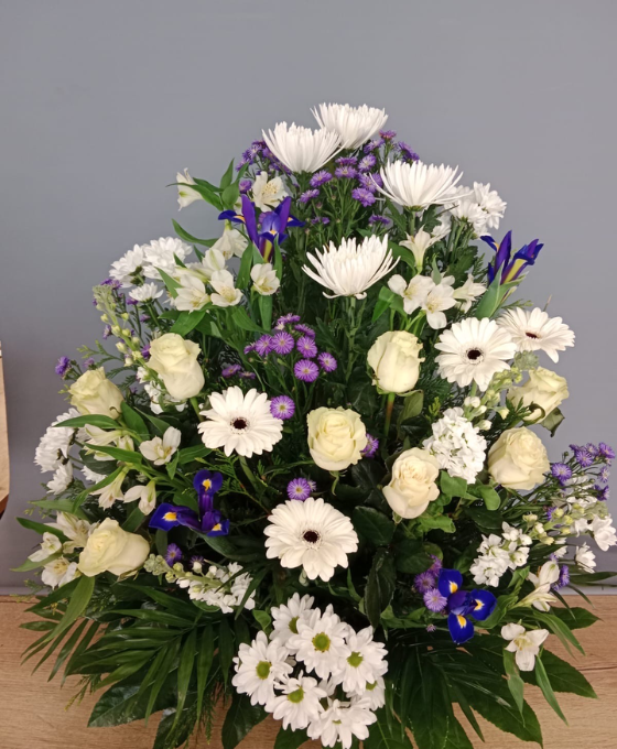 Centro Funerario Color Invierno